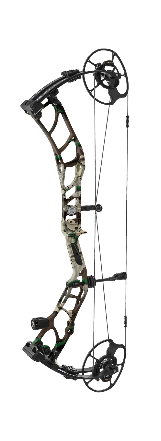 Pure Whitetail